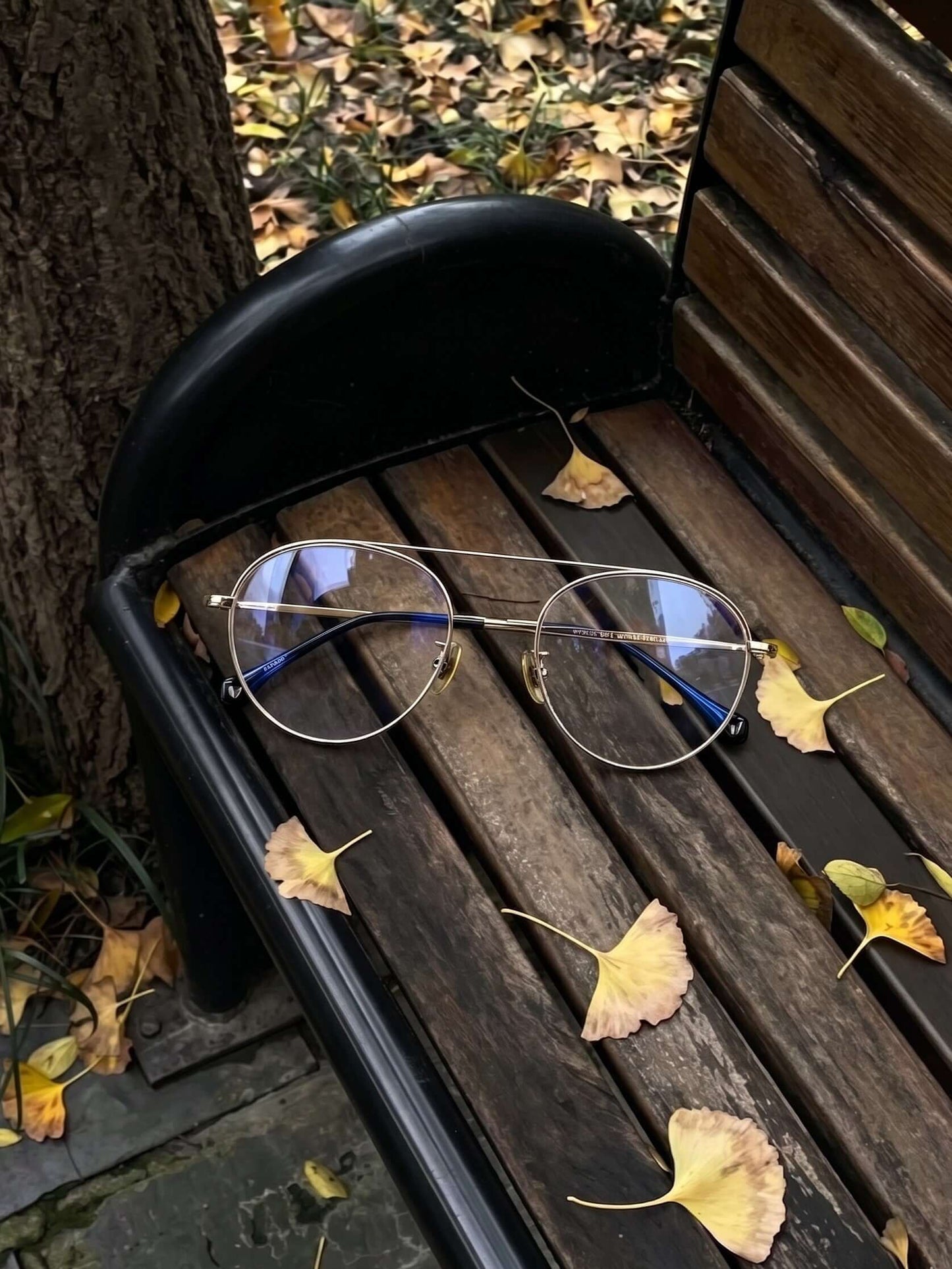 Fashion eyewear V Pai 2610