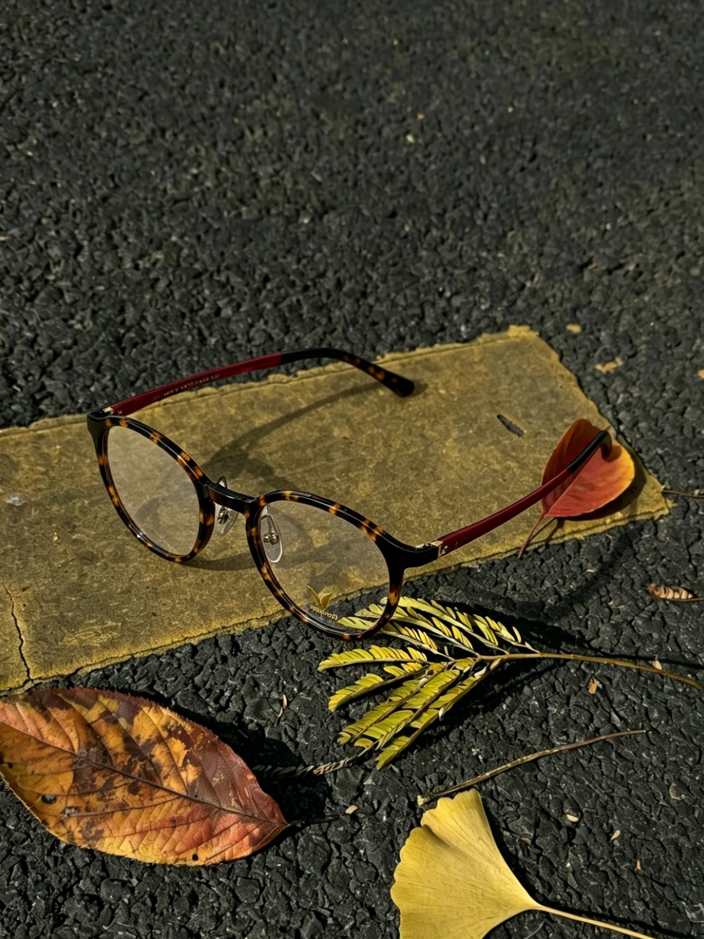 Tortoiseshell panto glasses flat lay on asphalt road with autumn ginkgo leaves, retro round tortoise optical frame red temple detail eyewear product shot