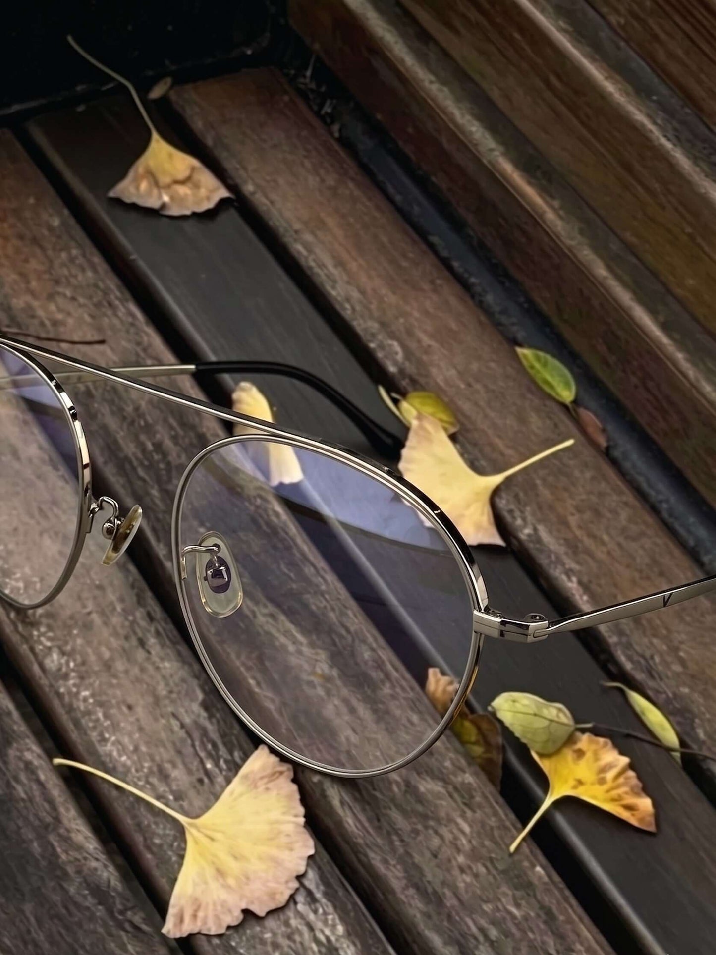 Fashion eyewear V Pai 2610
