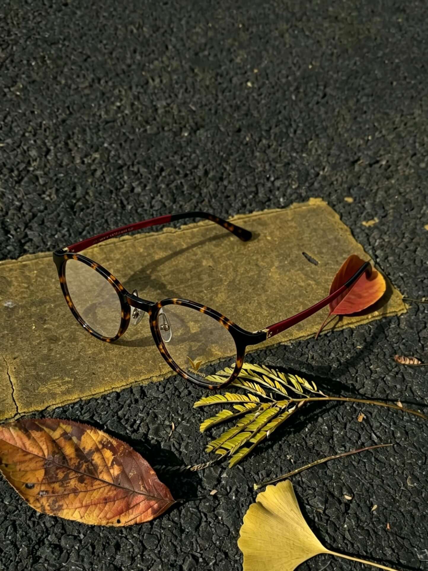 Havana glasses V Pai 2105U classic pattern close-up